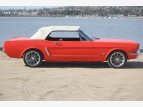 Thumbnail Photo 12 for New 1964 Ford Mustang